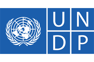 undp.fw_.png